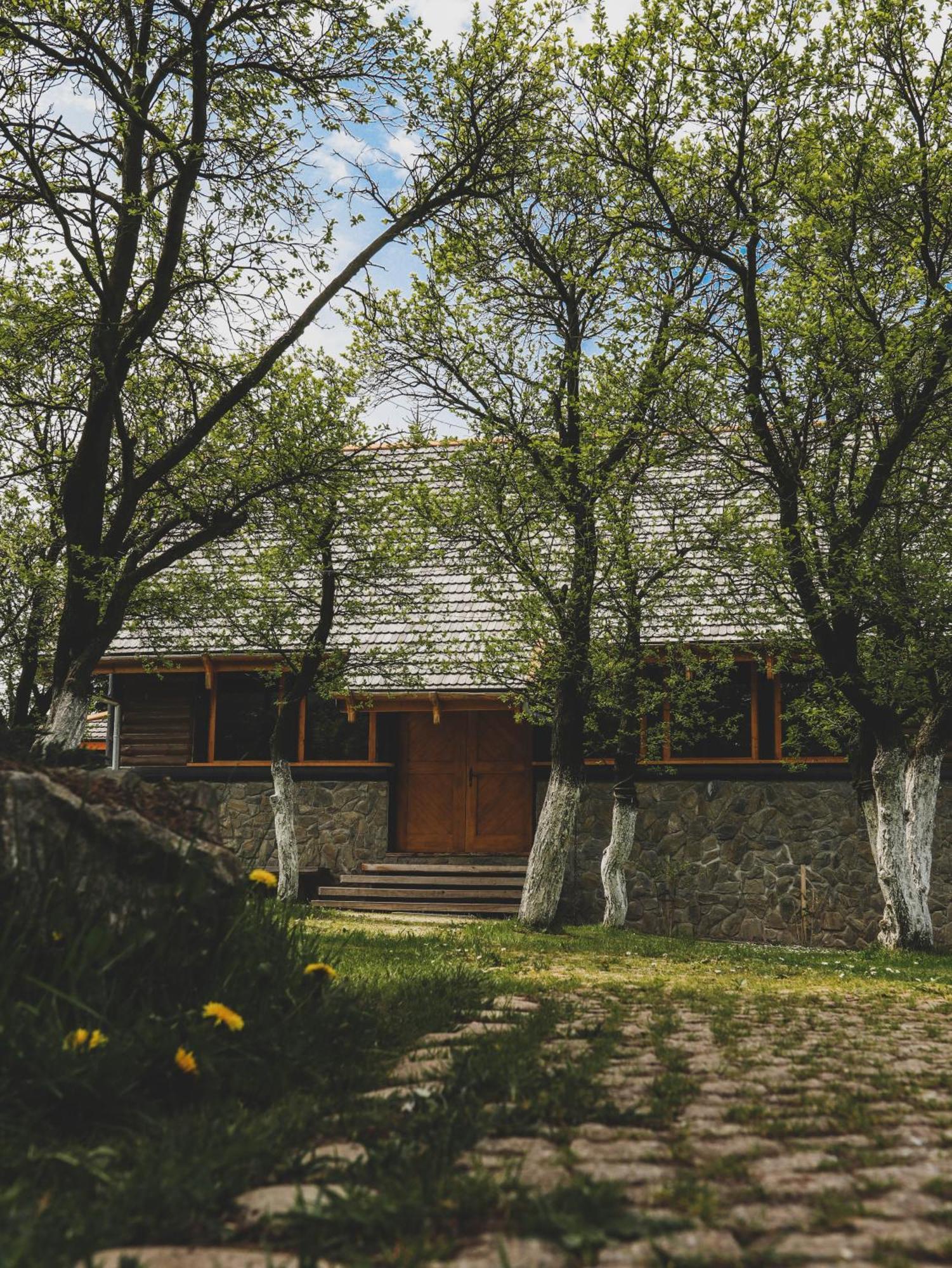 Karkonoska Drewniana Chata Kamienna Gora Dış mekan fotoğraf